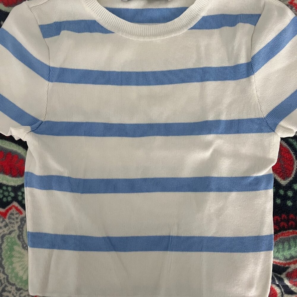 Zara Basic Striped Blue Tee